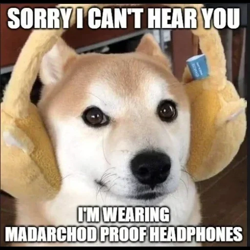 мем doge, doge мемы, мем собака, doge шаблон, боньк мем собакой