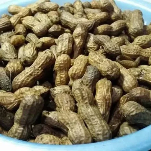 kacang rebus, арахис, kacang sepat kulit что это, fisdiq, cookpad