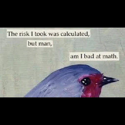 quotes about birds, screenshot, birds, twitter, bird funny