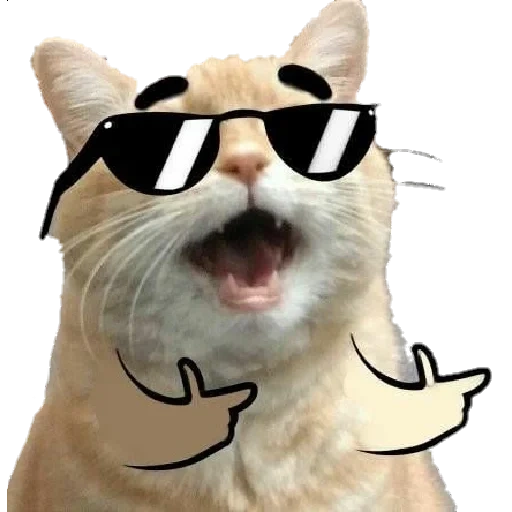 adesivos para whatsapp, memes com gatos, gatos, gato