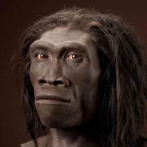 homo erectus, хомо сапиенс денисовский человек неандерталец, erectus, питекантроп, неандерталец
