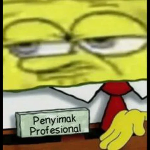 аниме tiddies expert, meme spongebob, губка боб квадратные штаны, spongebob professional retard, мемы