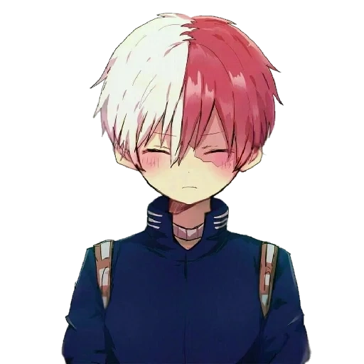 todoroki, todoroki shoto, todoroki art, disegno, todoroki shoto caro