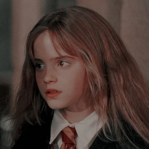 hermione granger, harry potter hermione, hermione harry potter, harry potter hermione granger, harry potter de hermione granger