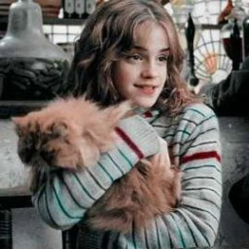 hermione granger, harry potter hermione, hermione cat harry potter, harry potter hermione granger, hermione granger harry potter