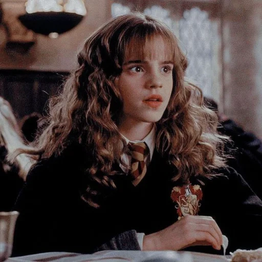 hermione granger, hermione harry potter, hermione granger harry potter, chambre hermione granger, chambre secrète de harry potter hermione