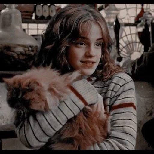 harry potter, hermione granger, hermione harry potter, gato hermione de harry potter, hermione granger harry potter