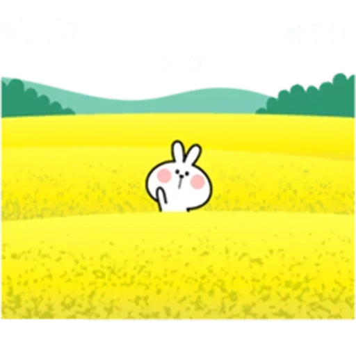 bunny, rabbit, bunny, a chubby rabbit, the sun and bunny
