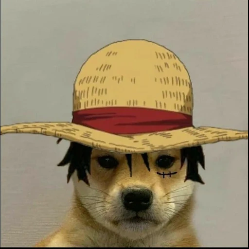 luffy, собака, doge luffy, dog with hat, манки д луффи