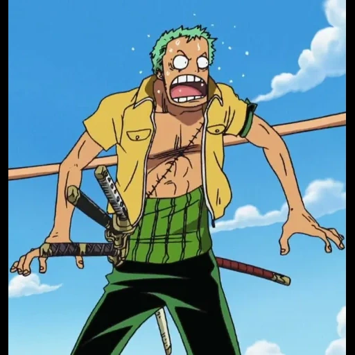 zoro, камера, ророноа зоро, телефон камерой