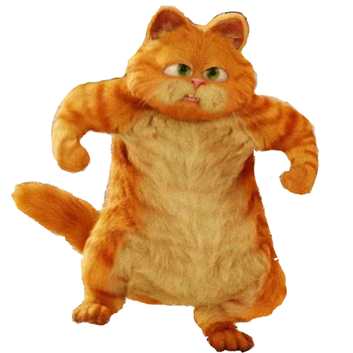 garfield, garfield 2, garfield cat, katzen garfield real life, beobachten sie den cartoon garfield