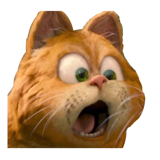 garfield cat, cat choque garfield, olhos de gato garfield, cartoon garfield 1