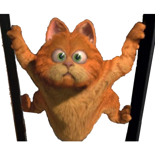 cat garfield, garfield shock, kucing garfield 1, garfield of real life