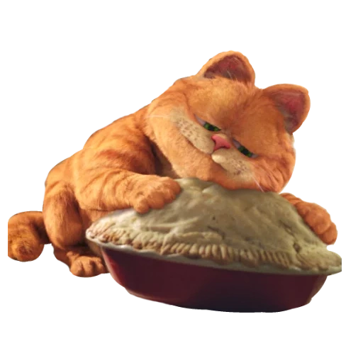 katze garfield, garfield ver, garfield lazanya