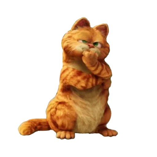 garfield, garfield cat, garfield cat of life, raça garfield