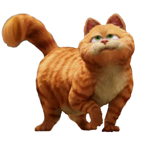 garfield, cat, garfield, garfield breed