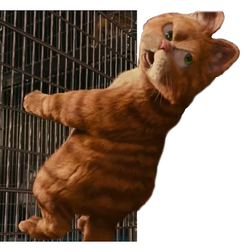 gato, garfield, garfield, big ben garfield, garfield 2022