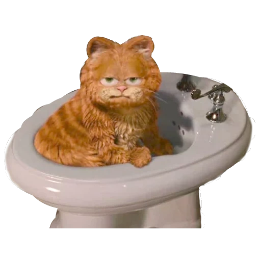 chat roux, garfield cat, toilettes garfield, toilettes garfield, red cat garfield