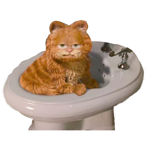 gato rojo, garfield, inodoros garfield, aseo garfield, gato rojo garfield