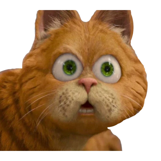 garfield, katze garfield, garfields augen, cat garfield augen, cartoon garfield 1