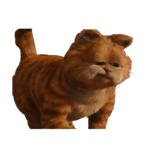 garfield, garfield cat, garfield kucing merah, stick cat garfield, dancing cat garfield