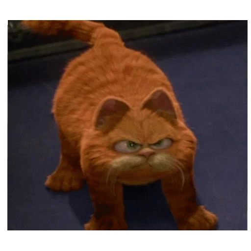 garfield, garfield, garfield 2004, garfield 2 simba, garfield the cat movies