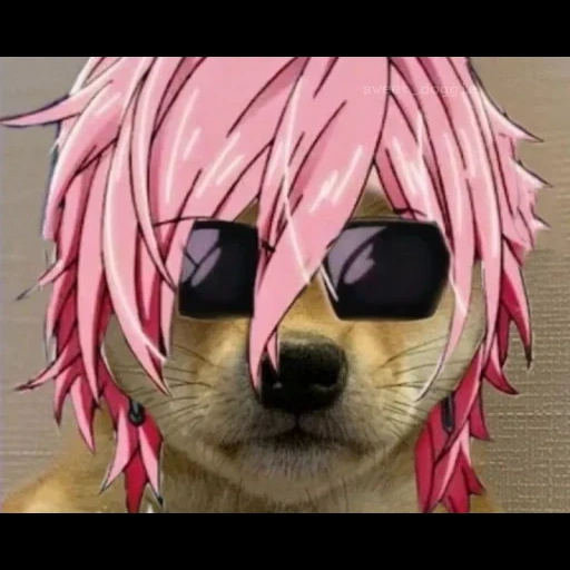 anime dog, anime dog, anime dog, anime mem face, anima animals cute
