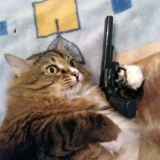 кот гавнюк, кот автоматом, кот пистолетом, котик автоматом, котик застрелился