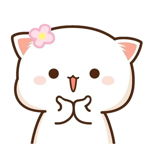 kucing kawaii, kucing kawaii, mochi peach cat 2020, gambar kucing lucu, kucing kawaii yang cantik