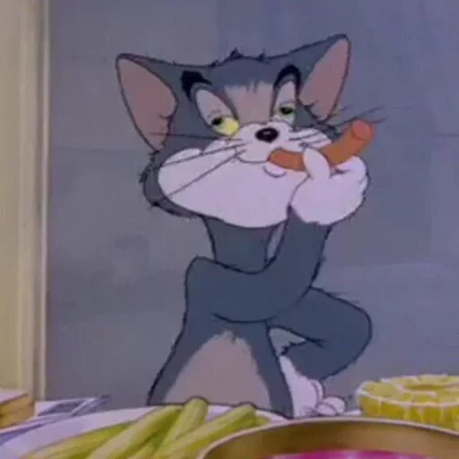 tom and jerry, cat tom tom and jerry, thomas jerry cat, tom and jerry cat, tom and jerry