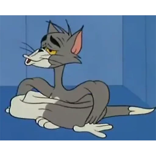 tom and jerry, tom and jerry cat, evil tom from tom and jerry, tom and jerry funny, tom and jerry looked
