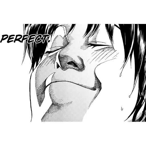 manga, gambar, manga anime, levy ahegao, manga populer