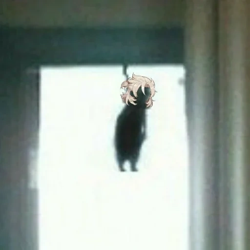 the cat hanged himself, hanged cat, the cat hanged a meme, kitty hanged himself with a meme, a meme hanged cat