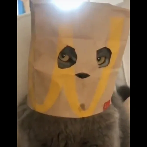 анонимус, кот битард, кот пакетом голове, коты пакетом голове, коттс пакетом голове