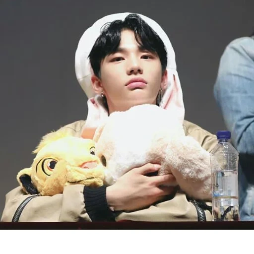 asian, stray kids, with hyun-jin, hyunzhin toy, jison stray kids squirrel