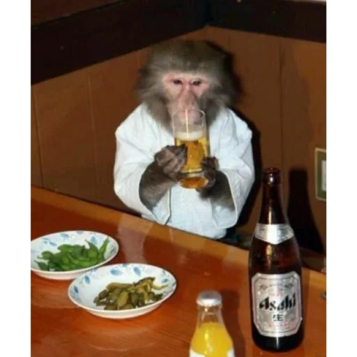 обезьянка с пивом, пьяная обезьяна, обезьяна с водкой, макака с пивом, пьяная мартышка