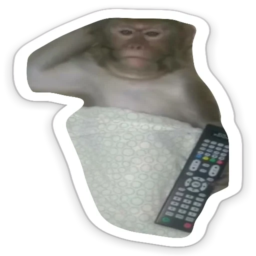 mono, mono, viruela del mono, mono doméstico, control remoto de tv lcd polar 48ltv6101