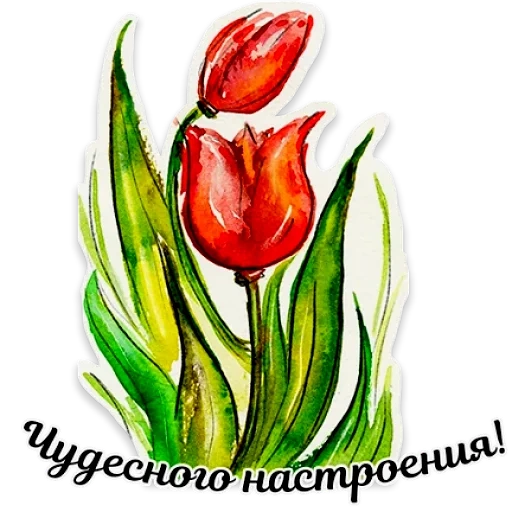 tulip dengan cat air, menggambar tulip, ilustrasi tulips, tulip cat air, tulip dengan cat air pemula