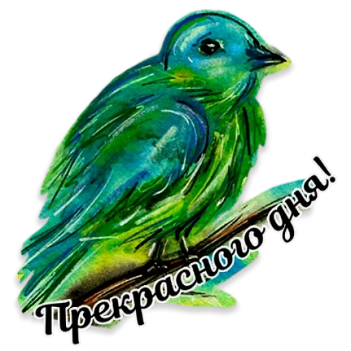 uccello, acquerello, uccello verde, pastel di uccelli, uccelli verdi