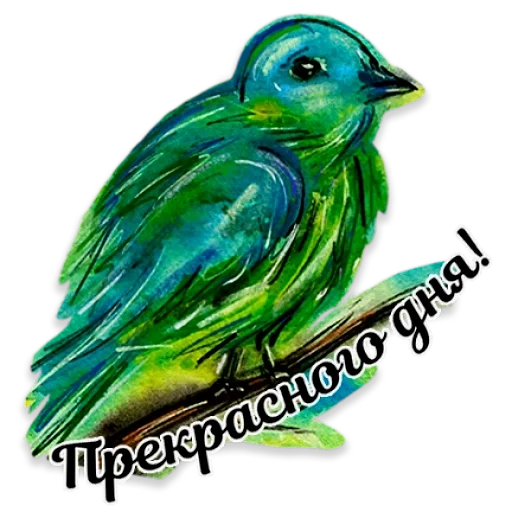 oiseau, aquarelle, oiseau vert, oiseaux pastel, oiseaux verts