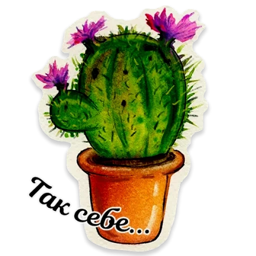 cactus, cactus gouache, cactus triste, cactus de dessin animé, illustration de cactus