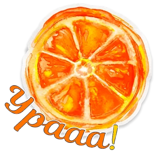 arance, e l'acquerello, arancia succosa, slims of orange, mandarino arancione