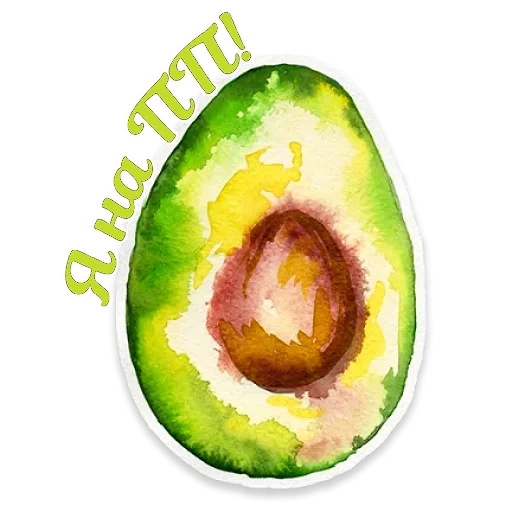 avocado, aquarell, avocado avocado, avocado zeichnung, avocado skizzen