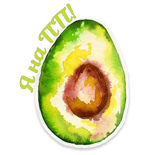 avocado, acquerello, avocado avocado, disegno di avocado, schizzi di avocado