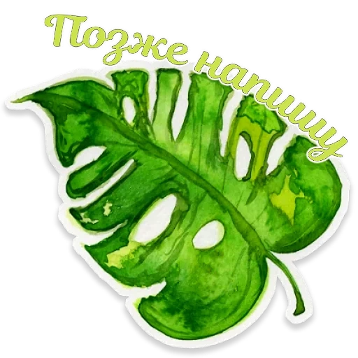 folha, e a aquarela, liszt monsters, monstera leaf, folhas tropicais