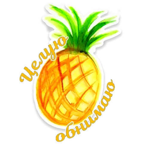 ananas, ananasflache, ananasfrucht, ananas cartun, ananaszeichnung