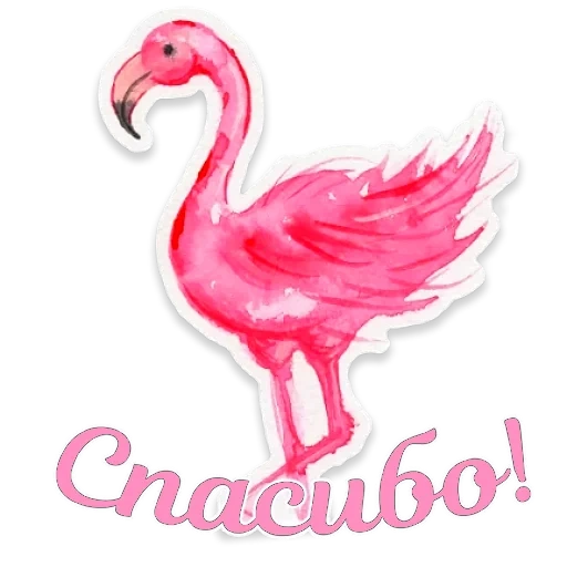 фламинго, фламинго рисунки, розовый фламинго, фламинго срисовки, фламинго белом фоне