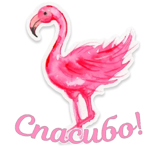 flamant, dessins de flamants, flamant rose, croquis de flamants, flamingo avec un fond blanc