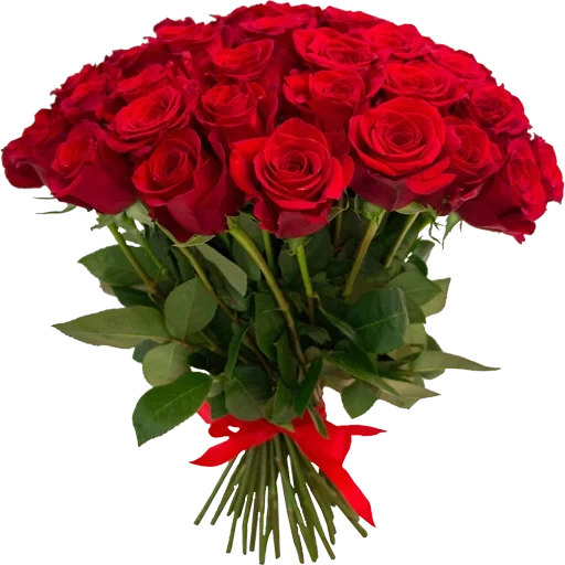 buket mawar, rose frida, rosa red naomi, buket mawar merah, buket bunga yang indah