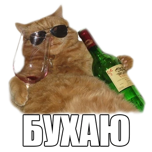 the cat is wine, cat booze, the cat is a bottle, cat with a drink meme, cats with a bottle of vodka